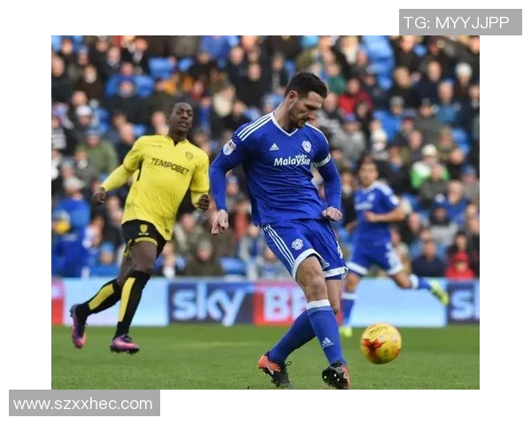 伯顿与加的夫城精彩对决直播全程回顾与赛后分析