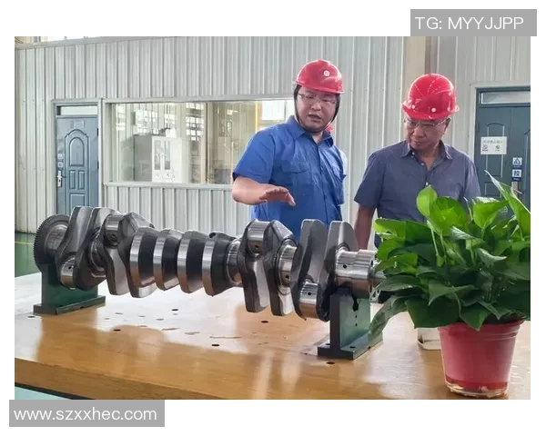 张昊在科技创新领域的探索与成就：推动未来发展的新动力