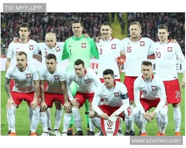 斯洛文尼亚与波兰足球对决前瞻及比分预测分析