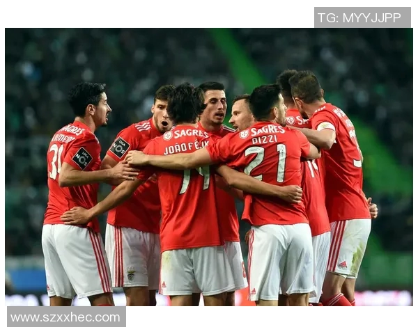 新西兰与葡萄牙足球对决全面分析战术特点及球员表现