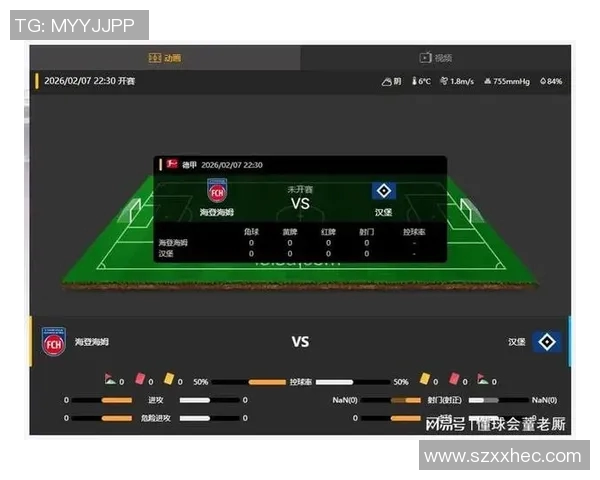 汉堡主场迎战海登海姆争夺德乙积分榜关键胜利