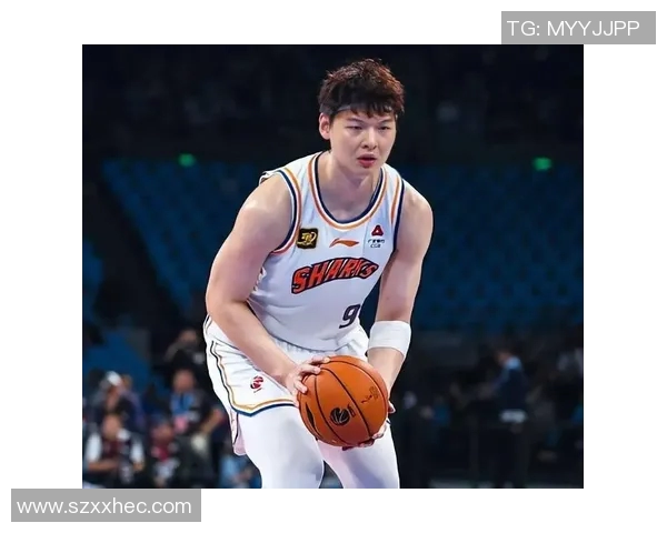 王哲林在CBA赛场的崛起与挑战解析他的职业生涯与未来发展方向