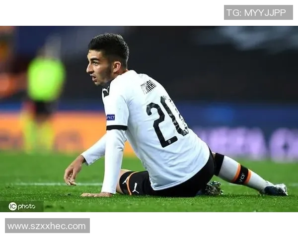 费兰托雷斯的崛起之路:从青训天才到世界足球舞台的闪耀明星 费兰托雷斯的崛起之路:从青训天才到世界足球舞台的闪耀明星