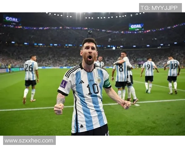 阿根廷与墨西哥2006世界杯经典对决回顾与分析